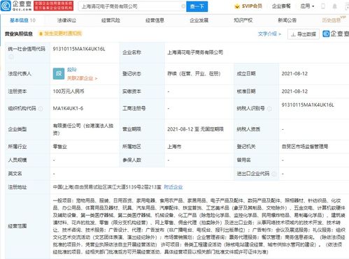 商務信息咨詢 企業(yè)戰(zhàn)略決策的智慧導航